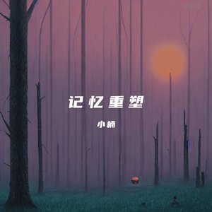 记忆重塑（2025）