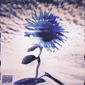 蓝葵（Prod.by Elyon Beats)