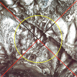 Vox Victimae - I (Profile To A)