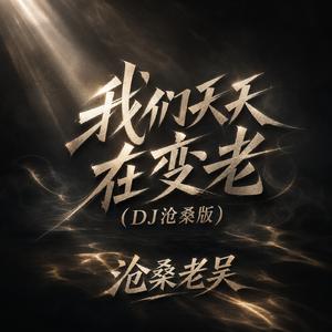 我们天天在变老(DJ沧桑版)