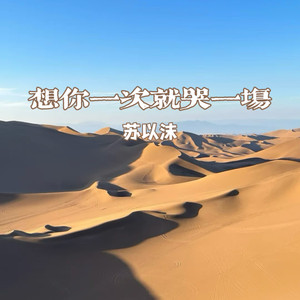 想你一次就哭一场