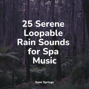 Rain From the Heavens