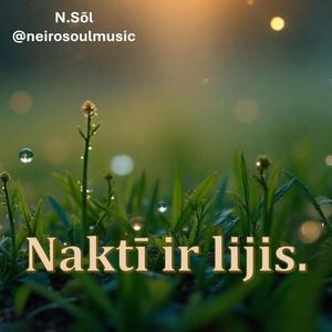 Naktī ir lijis