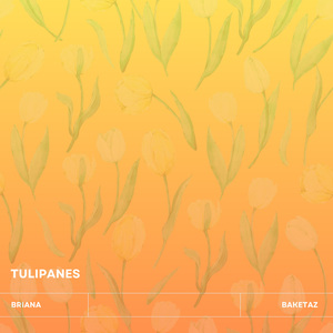 Tulipanes