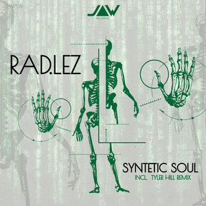 Synthetic Soul