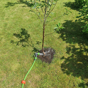 Grob (feat. Papasita)