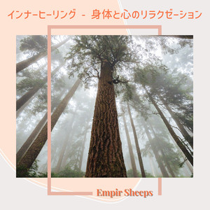 Mellow Sunset Calmness Unfolds