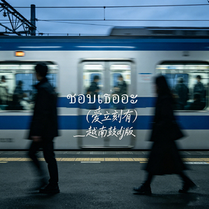 ชอบเธออะ（爱立刻有）越南鼓dj版