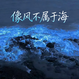 像风不属于海