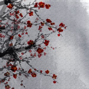 漆黑（海豚喵翻唱）