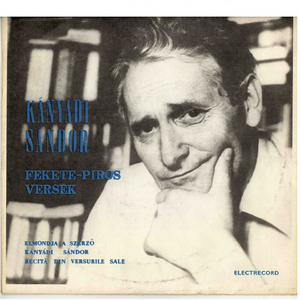 Halottak Napja Bécsben