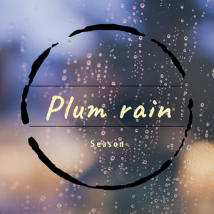 梅雨季的午后小息