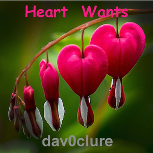 Heart Wants