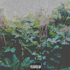 Переосмысление