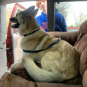 If you read my mind you would get a bonner