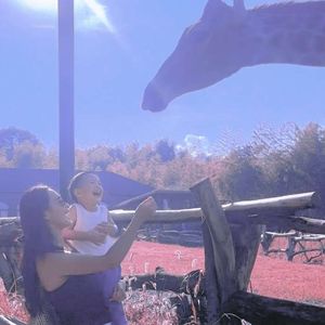 放开怀抱_帅冬冬