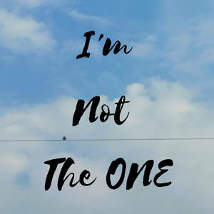 I'm Not The One