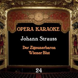 Der Zigeunerbaron: Ensemble