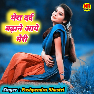 Mera Dard Badane Aaye Meri