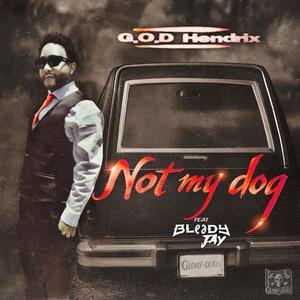 Not my Dog (feat. Bloody Jay)