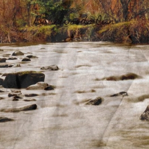 Jackie Brown (Nashville)