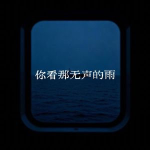 你看那无声的雨