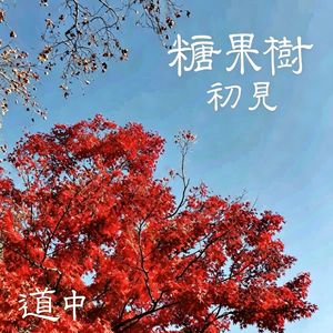 糖果树（初见版）