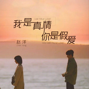 我是真情你是假爱