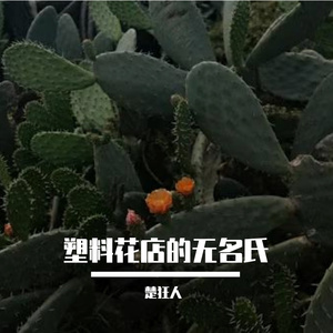 塑料花店的无名氏