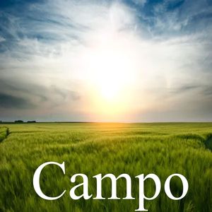 Campo