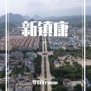 新镇康