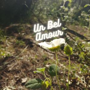 Un Bel Amour