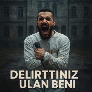 Delirttiniz ulan beni