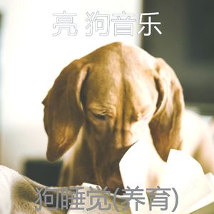 冷冻(休息的狗)