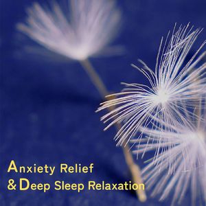 超リラックス～自然音～