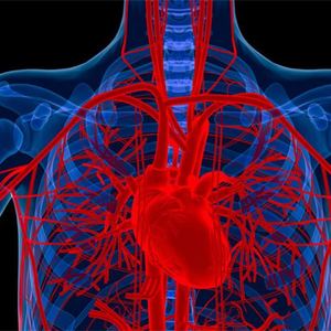 海洋之心的古老心脏—上卷（The Ancient Heart Of The Ocean-I)