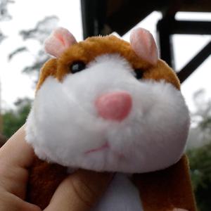 Chomik (Do Ciebie Dzwoni) [feat. Pikers] (Remix) (Remix)