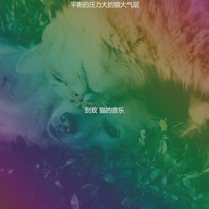 微妙的压力大的猫心情