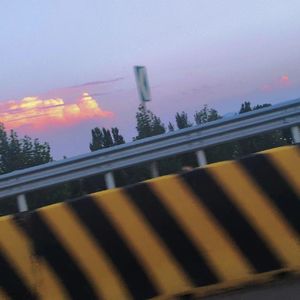 20岁的白日梦想家