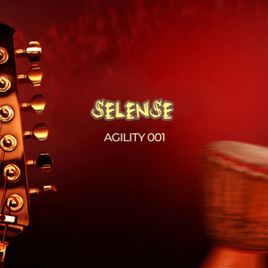Selense
