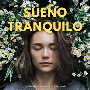 El Viaje Del Sueño En Las Olas