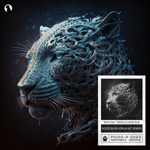 Good Rush (Din & Vic Remix)