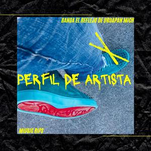 Perfil De Artista