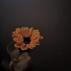 I try to （Prod.Furyl）