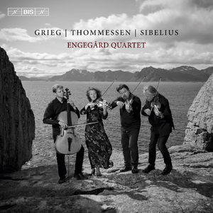 String Quartet in G Minor, Op. 27:I. Un poco andante - Allegro molto ed agitato