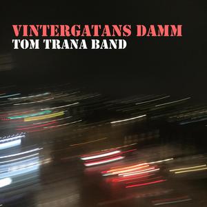 Vintergatans damm
