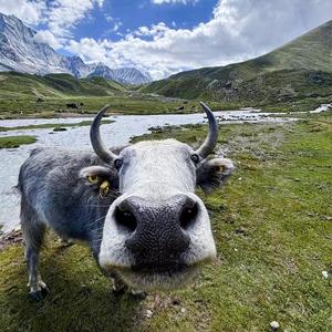 我的春天是窗外的鸟鸣(slow)