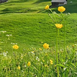 在未来的旅途中