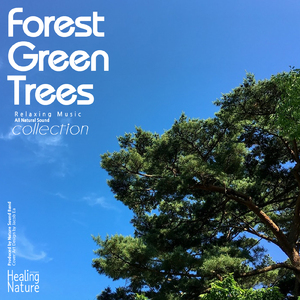 출근길 당신을 위한 편안한 휴식이 되는 자연의 소리