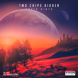 Two chips bidder (Mr. Moosh Remix)